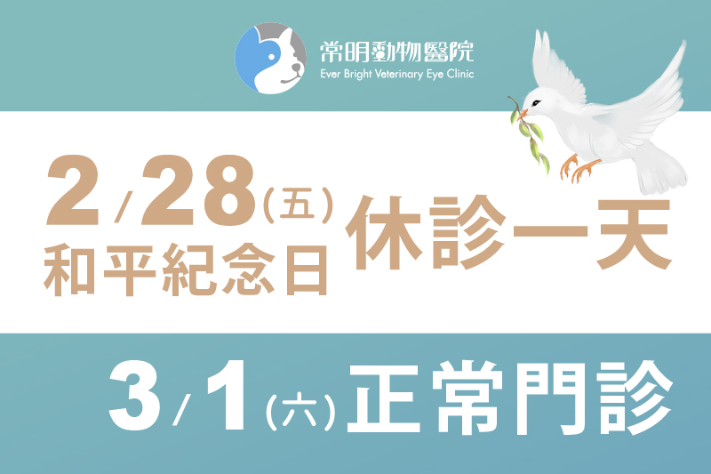 2/28和平紀念日休診一天，3/1 (星期六)正常門診